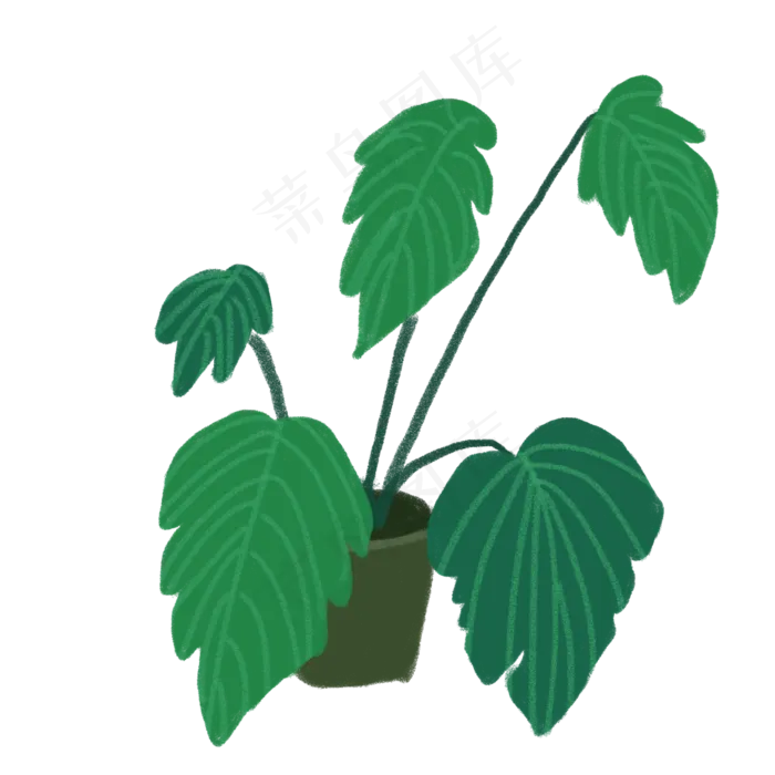 卡通手绘绿植大叶子植物发财树(1500X1500(DPI:300))psd模版下载