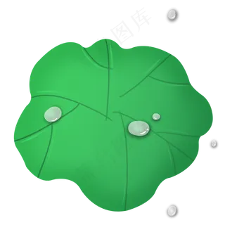 新鲜的荷叶免抠图