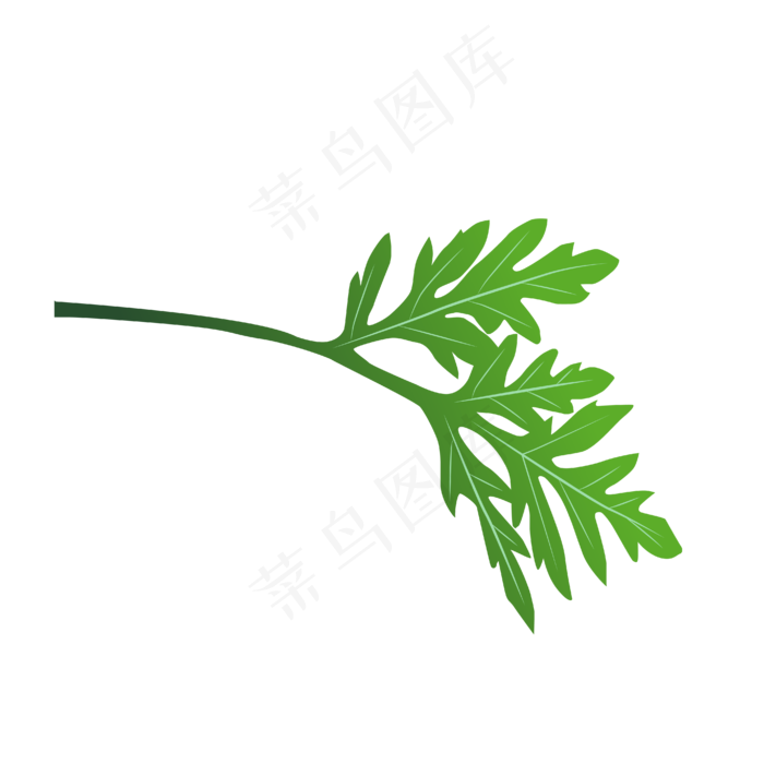 端午节装饰仿真艾草PNG(4167*4167px 300 dpi )ai矢量模版下载