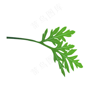 端午节装饰仿真艾草PNG