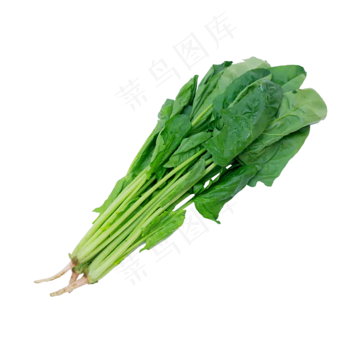 蔬菜菠菜,免抠元素(2000*2000px 300 dpi )