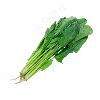 蔬菜菠菜,免抠元素
