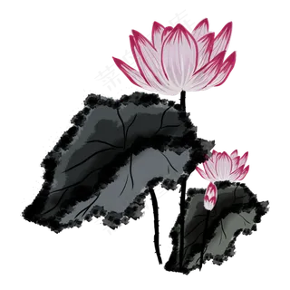 手绘中国风荷花水墨画PNG素材