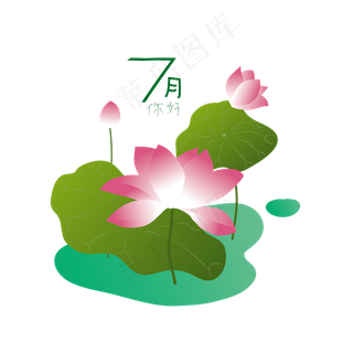 七月你好荷花荷叶主题素材