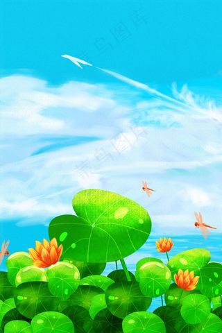 夏天荷花风景清新