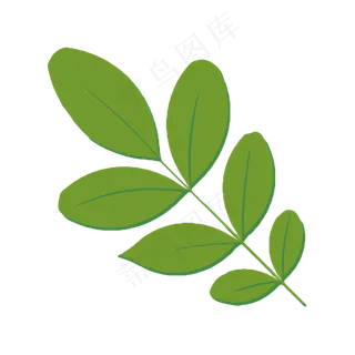 卡通绿色叶子矢量图