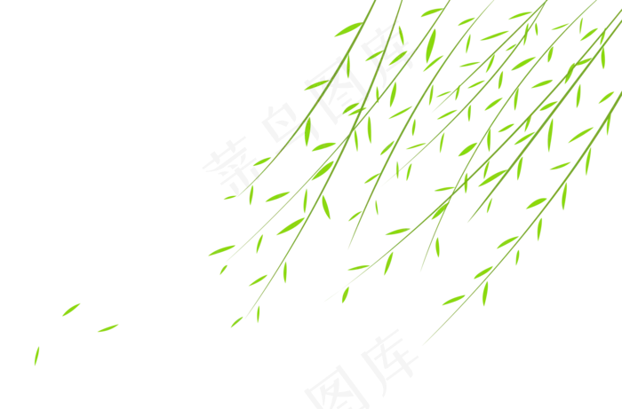 二十四节气柳叶,免抠元素(2000*1316px 300 dpi )psd模版下载