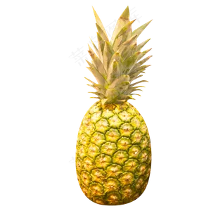 美味的菠萝