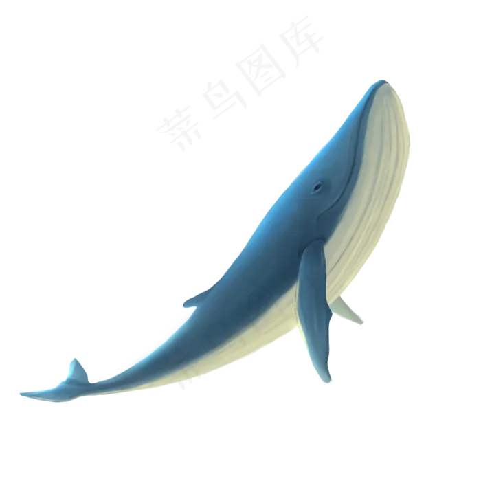 海洋公园海底世界鲸鱼蓝鲸动物手,免抠元素(2000*2000px)psd模版下载