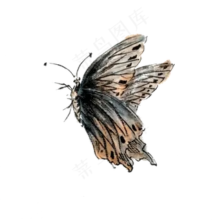 蝴蝶水墨灰色翅膀国画PNG,免抠元素