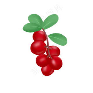手绘蔓越莓红色可爱水果串