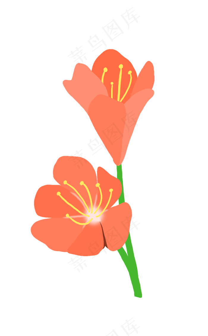 红色花朵卡通插画