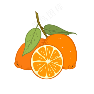 新鲜水果橙子矢量图