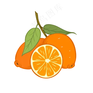 新鲜水果橙子矢量图