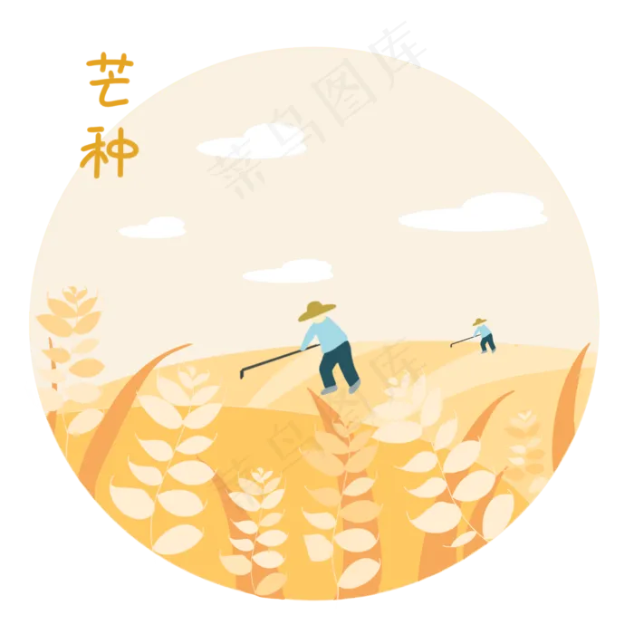 芒种小麦麦子(2000X2000(DPI:300))psd模版下载