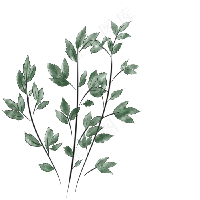 端午节节日艾草植物(2000X2000(DPI:300))psd模版下载