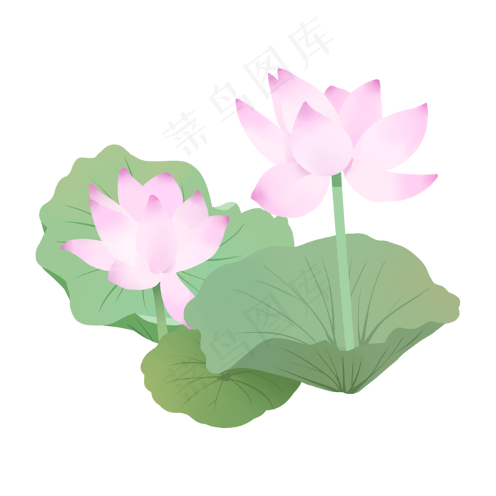 手绘鲜花荷花荷叶粉色(2000X2000(DPI:300))psd模版下载