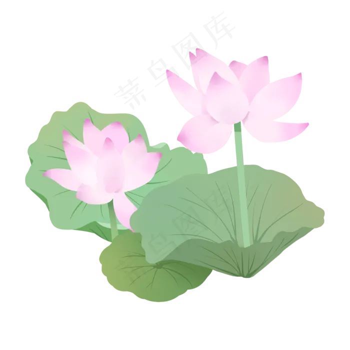 手绘鲜花荷花荷叶粉色(2000X2000(DPI:300))psd模版下载