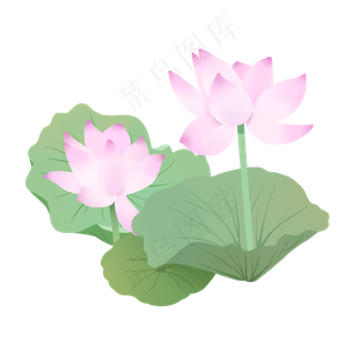 手绘鲜花荷花荷叶粉色