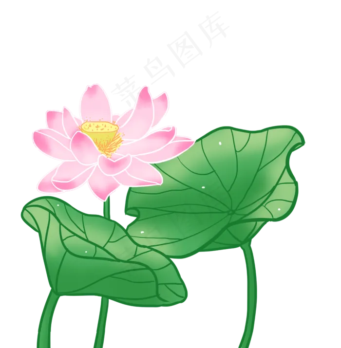 粉色荷花装饰(2500X2555(DPI:300))psd模版下载