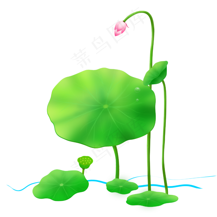 夏日荷花绿色植物手绘