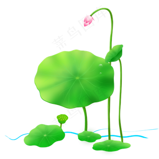 夏日荷花绿色植物手绘