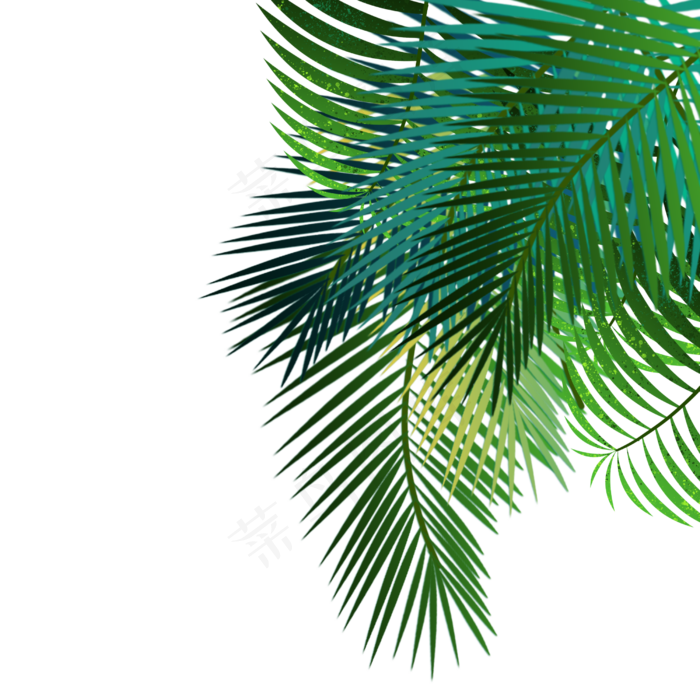绿色棕榈叶,免抠元素(2500X2500(DPI:300))psd模版下载