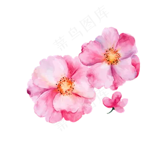 水彩风红色花瓣花朵矢量图