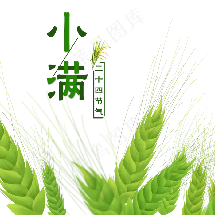 小满节气绿色小麦,免抠元素(2000X2000(DPI:300))psd模版下载