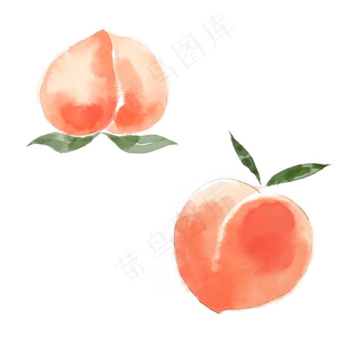 手绘风水彩桃子水蜜桃(2000X2000(DPI:300))psd模版下载