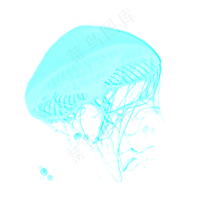 透明生物绿色章鱼水母元素,免抠元素(2000*2000px 300 dpi )psd模版下载