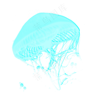 透明生物绿色章鱼水母元素,免抠元素