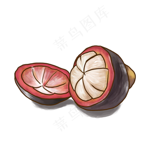 夏季水果山竹手绘小清新手账