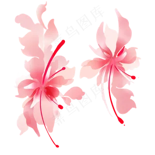 粉色花卉花瓣 粉色花卉花瓣