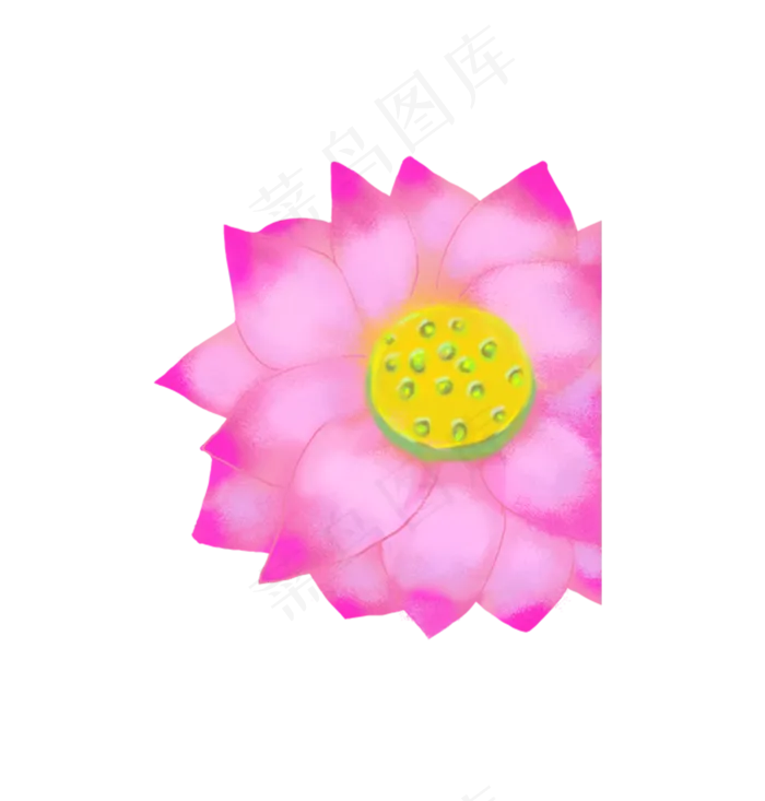 粉色绽放的荷花(1317X1379(DPI:300))psd模版下载