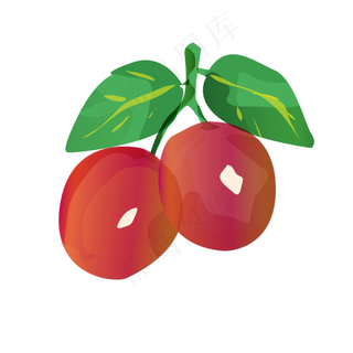 水彩李子PNG免抠