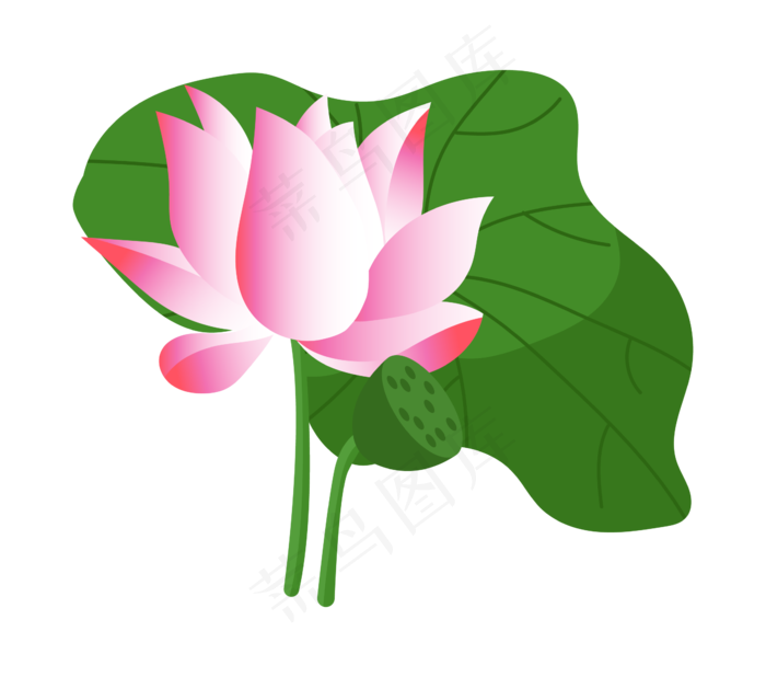 中国风粉色荷花插图(2317*2047px 300 dpi )ai矢量模版下载