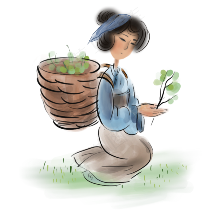 采摘中药的少女,免抠元素(2000*2000px 300 dpi )psd模版下载