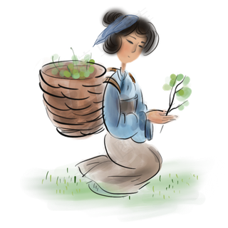 采摘中药的少女,免抠元素