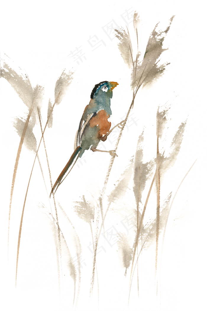 小鸟与芦苇水彩画PNG免抠素材