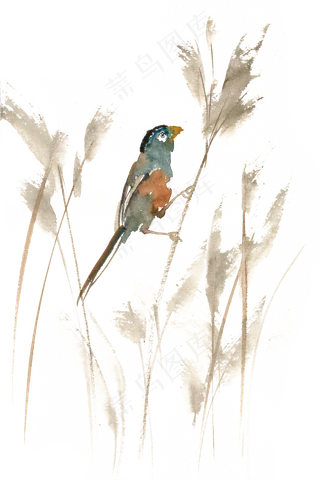 小鸟与芦苇水彩画PNG免抠素材