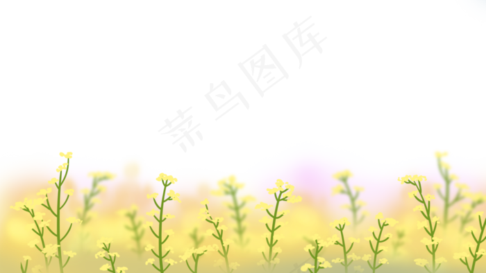 春季油菜花田大片油菜花地,免抠元素