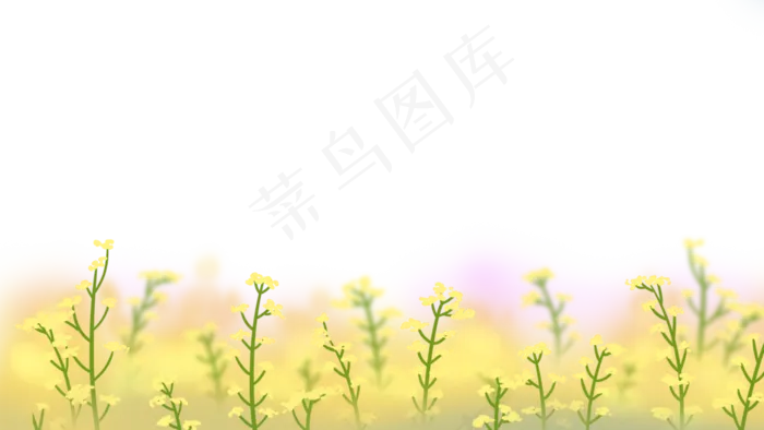 春季油菜花田大片油菜花地,免抠元素