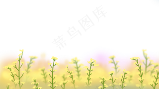 春季油菜花田大片油菜花地,免抠元素