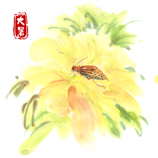 大暑黄花与昆虫