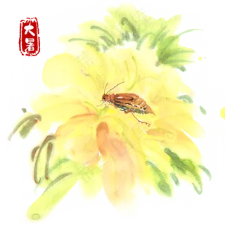 大暑黄花与昆虫