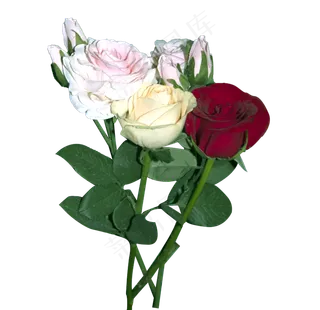 情人节鲜花红色黄色玫瑰花束