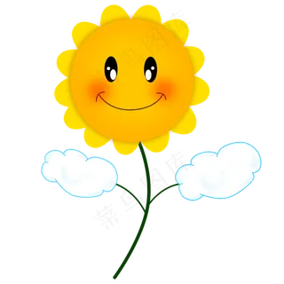 笑脸太阳花种太阳白云叶子