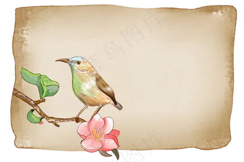 花鸟花卷 花鸟花卷