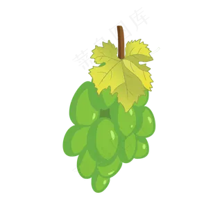 青色马奶长粒葡萄